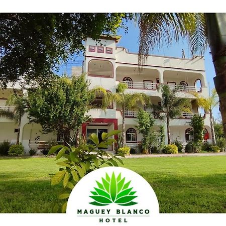 Hotel Maguey Blanco Ixmiquilpan Exterior photo