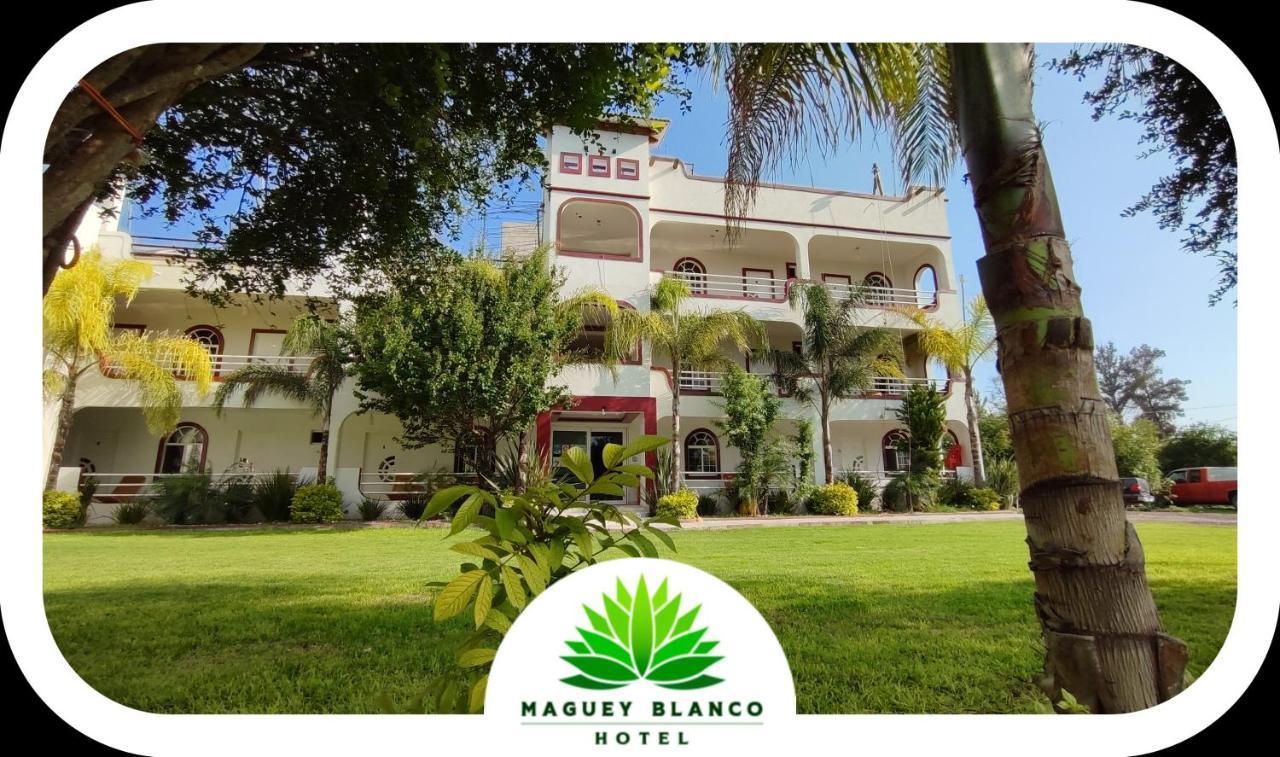 Hotel Maguey Blanco Ixmiquilpan Exterior photo